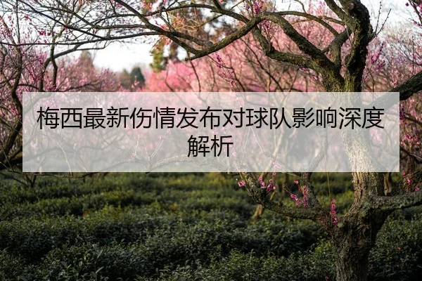 梅西最新伤情发布对球队影响深度解析